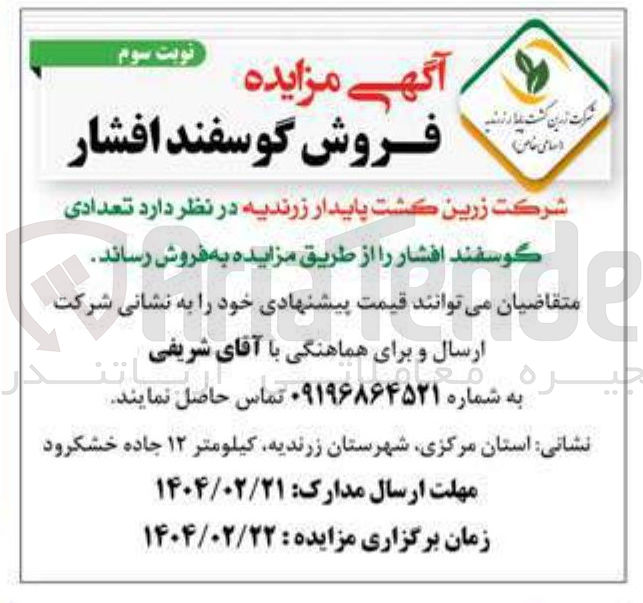 تصویر کوچک آگهی فروش  تعدادی گوسفند افشار 