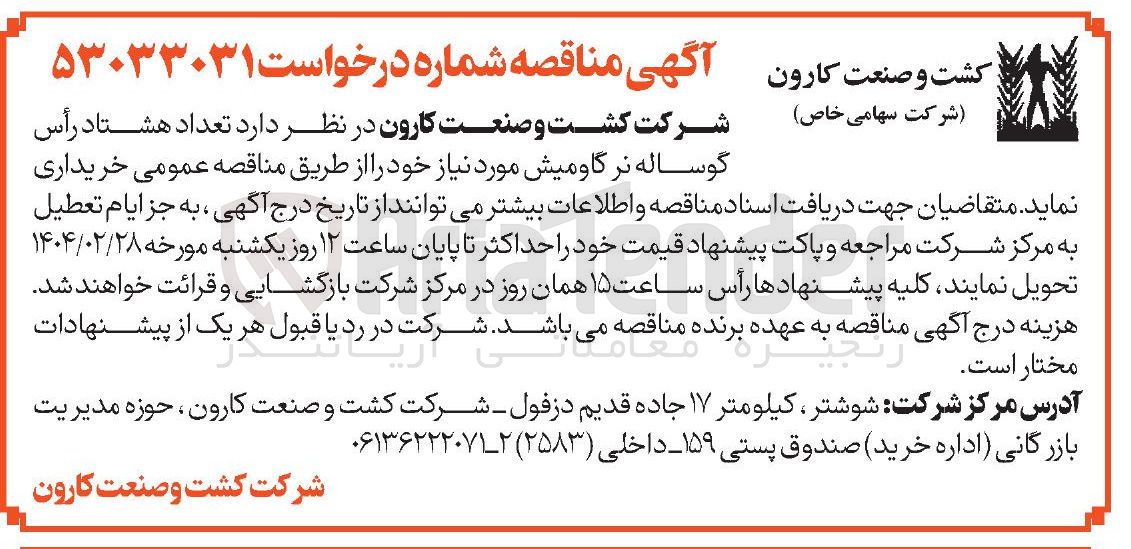 تصویر کوچک آگهی  هشتاد رأس گوساله نر گاومیش 