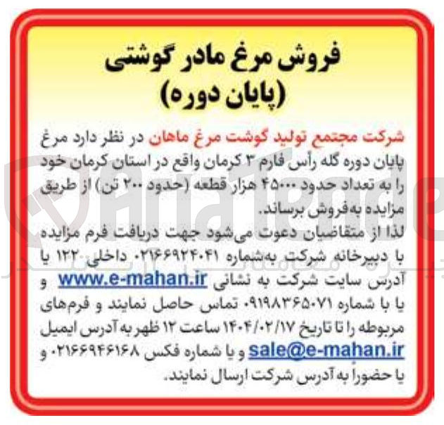 تصویر کوچک آگهی فروش مرغ پایان دوره گله رأس فارم ۳ به تعداد حدود ۴۵۰۰۰ هزار قطعه حدود ۲۰۰ تن