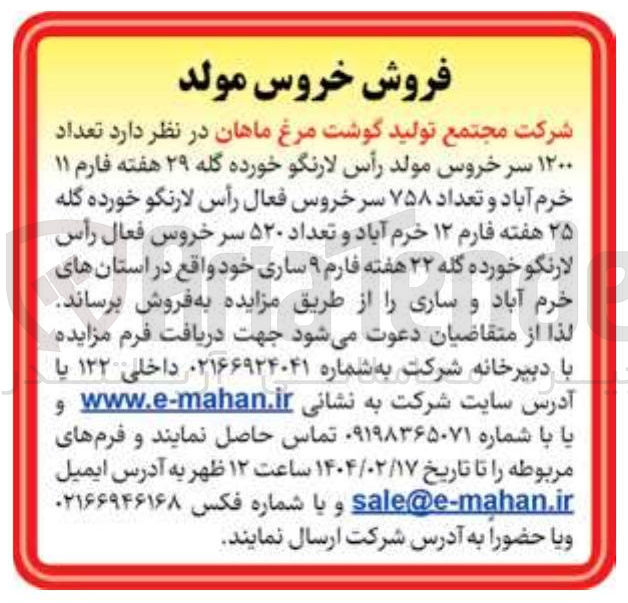 تصویر کوچک آگهی فروش تعداد ۱۲۰۰ سر خروس مولد رأس لارنگو خورده گله ۲۹ هفته فارم ۱۱ خرم آباد و تعداد ۷۵۸ سرخروس فعال رأس لارنگو خورده گله ۲۵ هفته فارم ۱۲ خرم آباد و تعداد ۵۲۰ سر خروس فعال رأس لارنگو خورده گله ۲۲ هفته فارم ۹ ساری