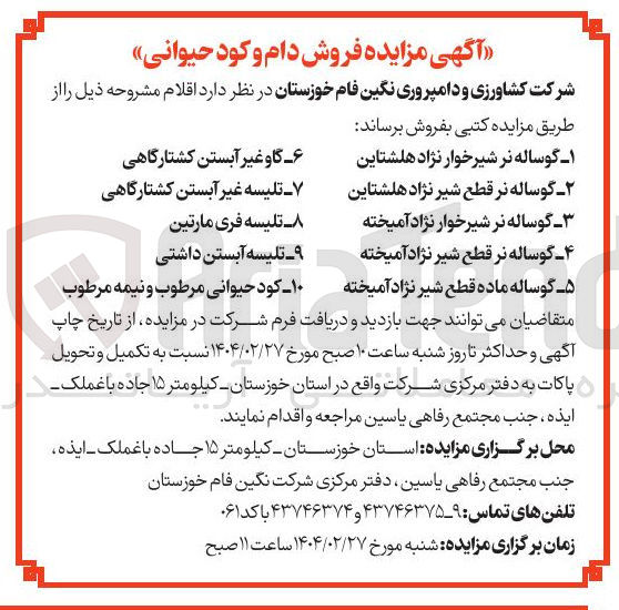 تصویر کوچک آگهی تلیسه فری مارتین 
