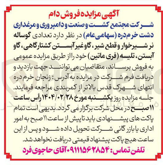 تصویر کوچک آگهی فروش تعدادی گوساله نر شیر خوار و قطع شیر گاو غیر آبستن کشتارگاهی گاو آبستن تلیسه (فری ماتین)