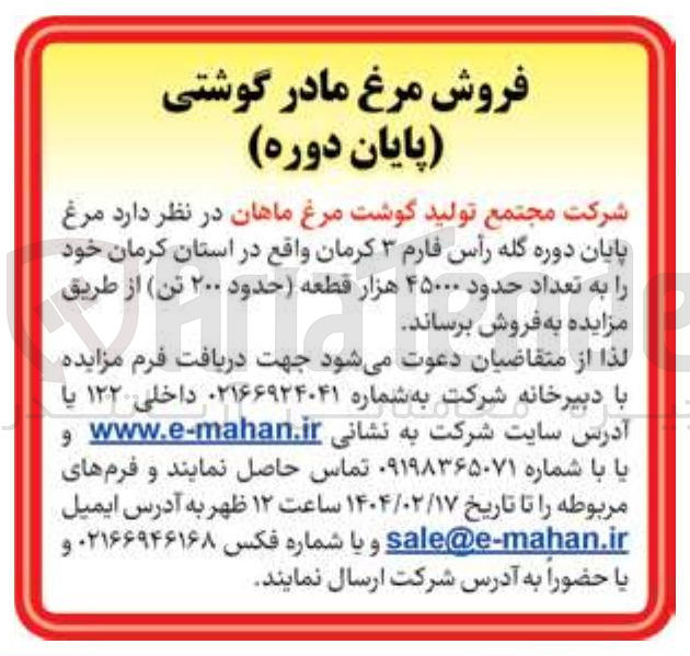 تصویر کوچک آگهی  مرغ پایان دوره گله رأس فارم ۳ 