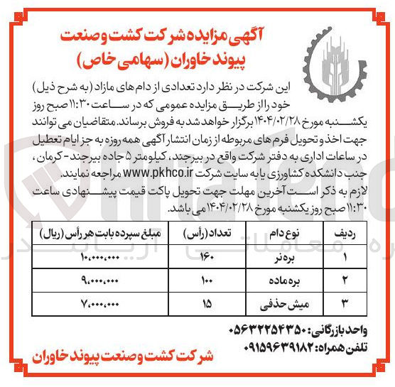 تصویر کوچک آگهی بره ماده 
