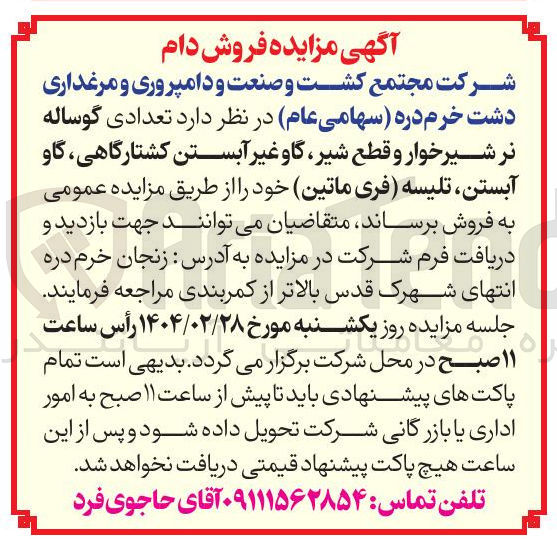 تصویر کوچک آگهی فروش تعدادی گوساله نر شیر خوار و قطع شیر گاو غیر آبستن کشتارگاهی گاو آبستن تلیسه فری ماتین