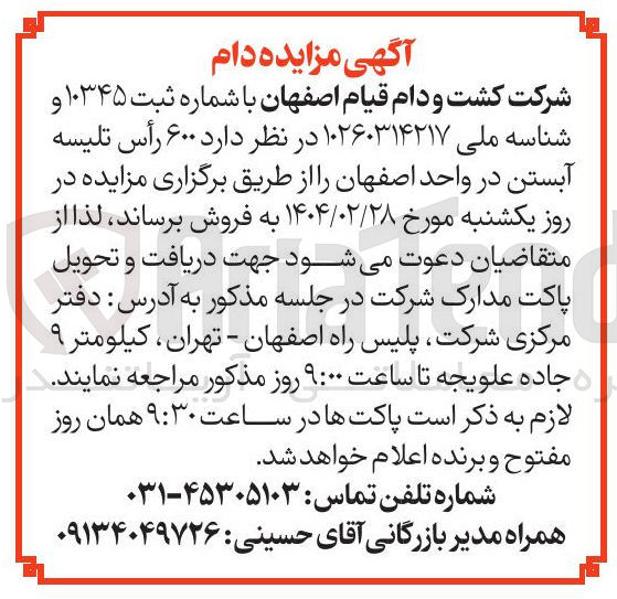 تصویر کوچک آگهی فروش  ۶۰۰ رأس تلیسه آبستن 