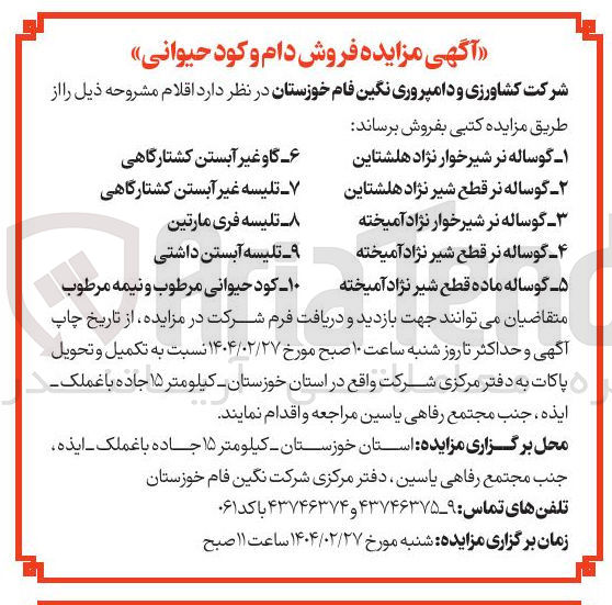 تصویر کوچک آگهی فروش اقلام :  گوساله نر شیرخوار نژاد هلشتاین - گاو غیر آبستن کشتارگاهی - گوساله نر قطع شیر نژاد هلشتاین - تلیسه غیر آبستن کشتارگاهی - گوساله نر شیرخوار نژاد آمیخته - گوساله نر قطع شیر نژاد آمیخته - تلیسه فری مارتین - تلیسه آبستن داشتی - گوساله ماده قطع شیر نژاد آمیخته - کود حیوانی مرطوب و نیمه مرطوب 