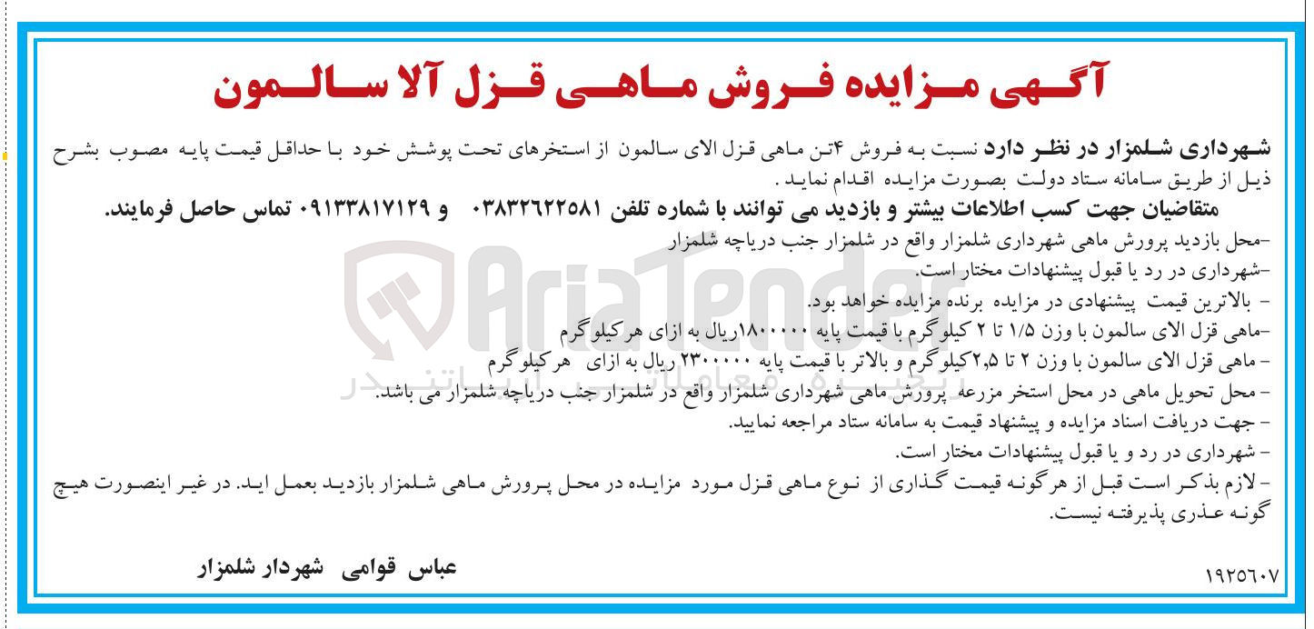 تصویر کوچک آگهی ماهی قزل الای سالمون با وزن ۱/۵ تا ۲ کیلوگرم با قیمت پایه ۱۸۰۰ ریال به ازای هر کیلو گرم 