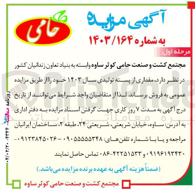تصویر کوچک آگهی فروش مقداری از پسته تولیدی سال ۱۴۰۳