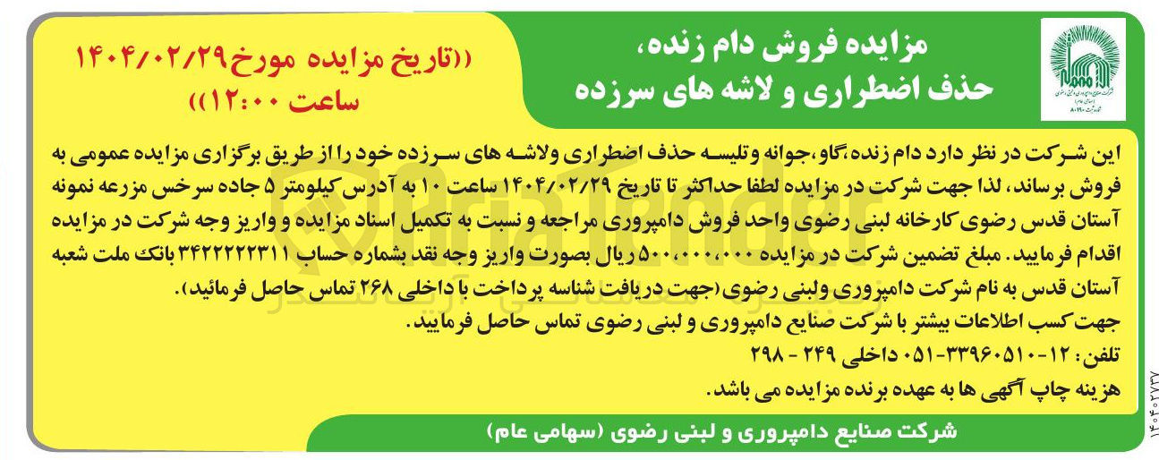 تصویر کوچک آگهی فروش دام زنده گاو ، جوانه و تلیسه حذف اضطراری ولاشه های سرزده 