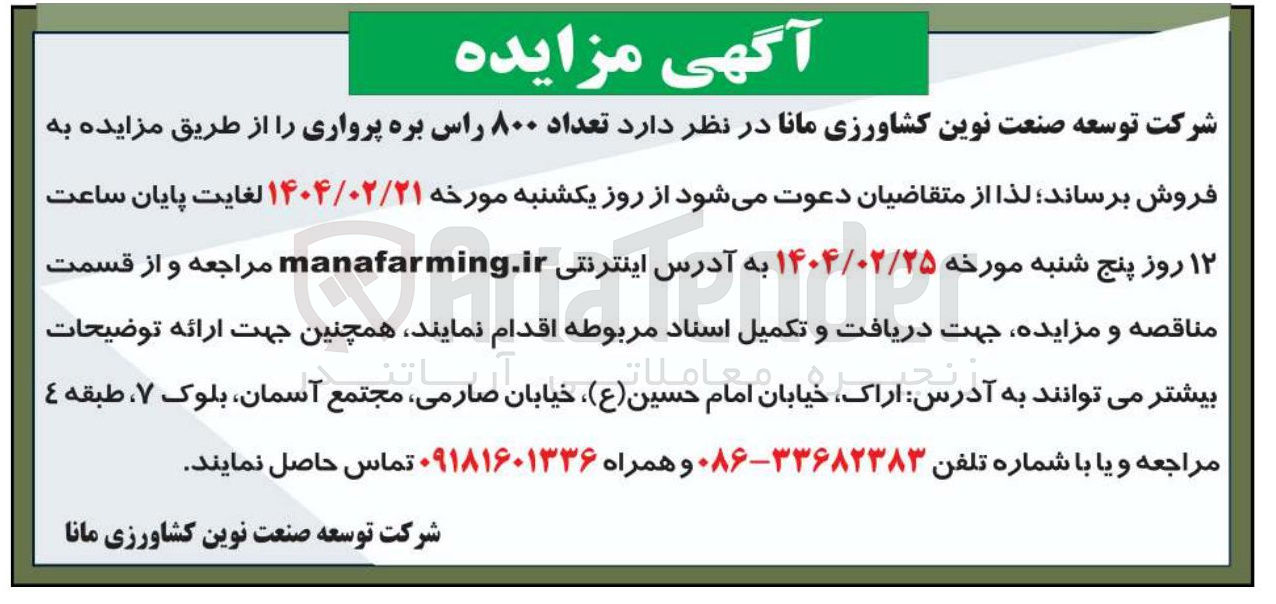 تصویر کوچک آگهی تعداد ۸۰۰ راس بره پرواری 