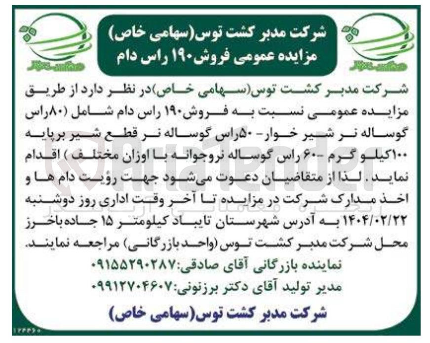 تصویر کوچک آگهی فروش ۱۹۰ راس دام شامل ( ۸۰ راس 
گوساله نر شیر خوار - ۵۰ راس گوساله نر قطع شیر برپایه 
۱۰۰ کیلو گرم ۶۰ راس گوساله نروجوانه با اوزان مختلف