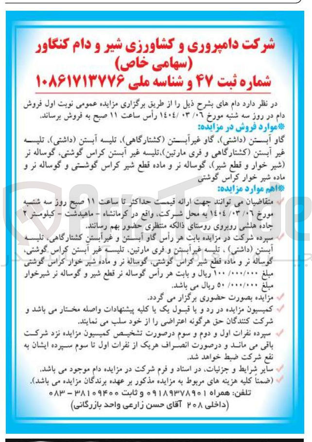 تصویر کوچک آگهی فروش دام : گاو آبستن داشتی ) گاو غیر آبستن کشتارگاهی تلیسه آبستن داشتی ) ، تلیسه غیر آبستن کشتارگاهی و فری مارتین تلیسه غیر آبستن کراس گوشتی گوساله تر شیر خوار و قطع شیر گوساله نر و ماده قطع شیر کراس گوشتی و گوساله نر و ماده شیر خوار کراس گوشتی 