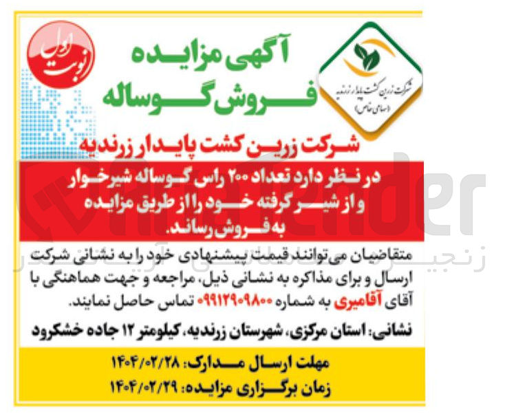 تصویر کوچک آگهی فروش تعداد ۲۰۰ راس گوساله شیرخوار و از شیر گرفته