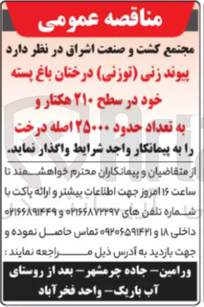 تصویر کوچک آگهی پیوند زنی توزنی درختان باغ پسته خود در سطح ۲۱۰ هکتار و به تعداد حدود ۲۵۰۰۰ اصله درخت 
