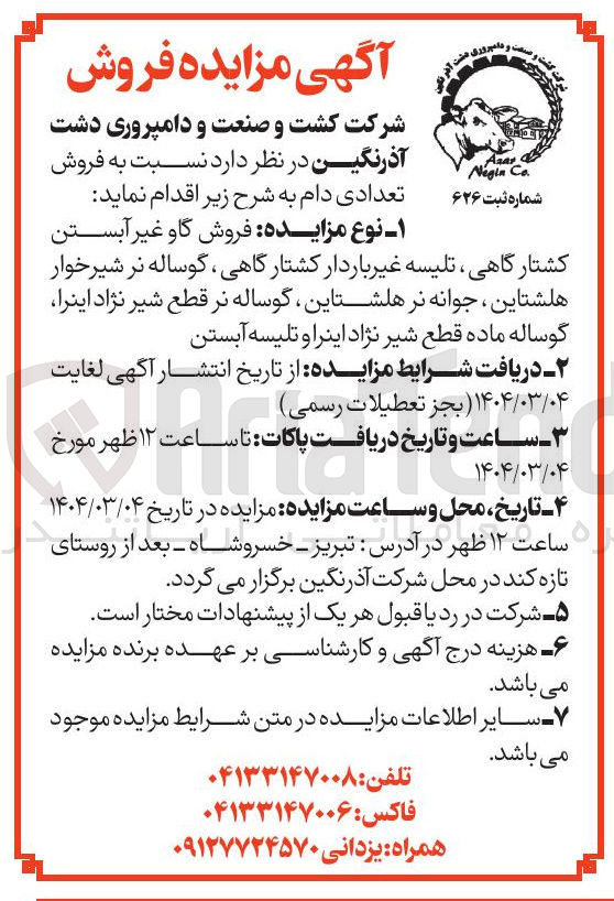 تصویر کوچک آگهی فروش تعدادی دام : گاو غیر آبستن کشتارگاهی تلیسه غیر باردار کشتار گاهی ، گوساله نر شیرخوار هلشتاین ، جوانه نر هلشتاین گوساله نر قطع شیر نژاد اینرا گوساله ماده قطع شیر نژاد اینرا و تلیسه آبستن