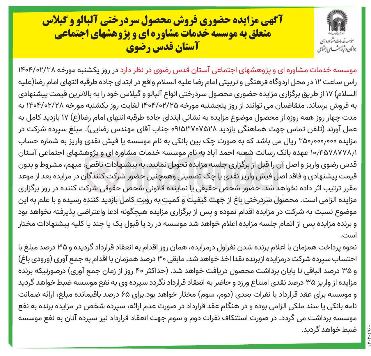 تصویر کوچک آگهی  فروش محصول سردرختی آلبالو و گیلاس