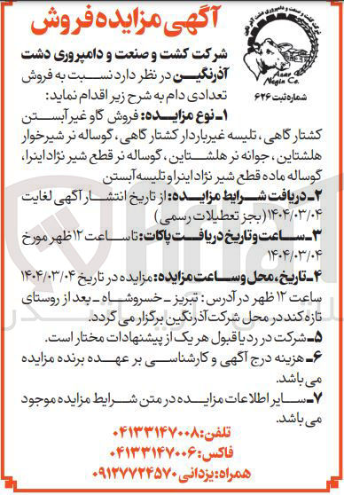 تصویر کوچک آگهی فروش گاو غیر آبستن کشتارگاهی تلیسه غیر باردار کشتار گاهی گوساله نر شیرخوار هلشتاین ، جوانه نر هلشتاین گوساله نر قطع شیر نژاد اینرا گوساله ماده قطع شیر نژاد اینرا و تلیسه آبستن 