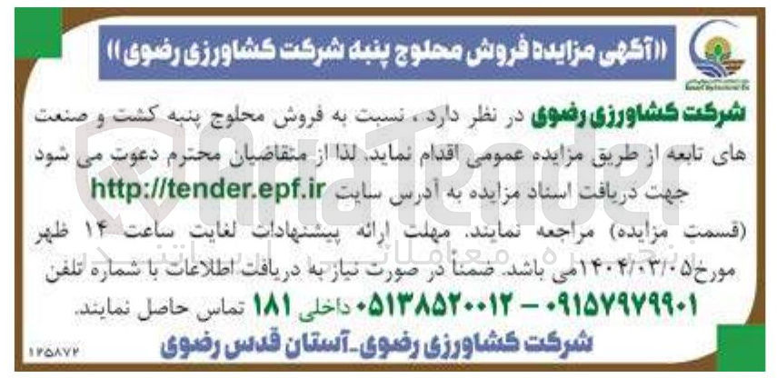تصویر کوچک آگهی  فروش محلوج پنبه 
