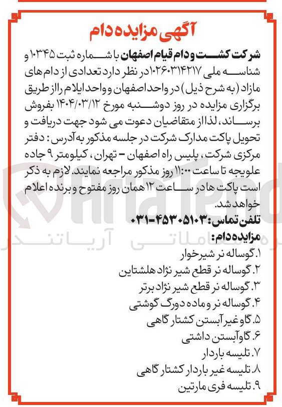 تصویر کوچک آگهی فروش  تعدادی از دام های مازاد :  گوساله نر شیرخوار - گوساله نر قطع شیر نژاد هلشتاین - گوساله نر قطع شیر نژاد برتر - گوساله نر و ماده دورگ گوشتی - گاو غیر آبستن کشتارگاهی - گاو آبستن داشتی - تلیسه باردار - تلیسه غیر باردار کشتارگاهی - تلیسه فری مارتین
