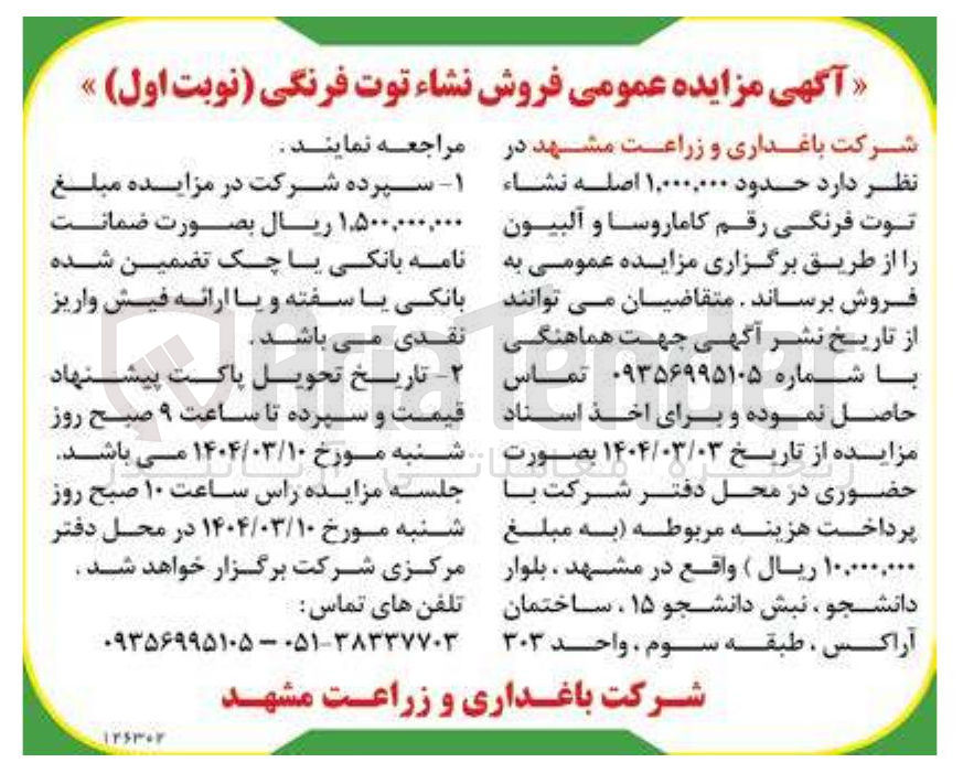 تصویر کوچک آگهی فروش حدود ۱,۰۰۰,۰۰۰ اصله نشاء توت فرنگی رقم کاماروسا و آلبیون