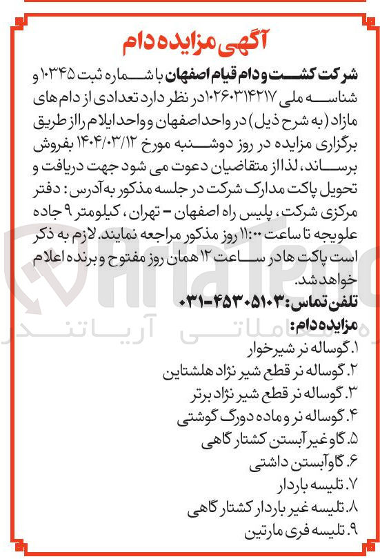 تصویر کوچک آگهی فروش تعدادی از دام های مازاد : گوساله نر شیرخوار - گوساله نر قطع شیر نژاد هلشتاین - گوساله نر قطع شیر نژاد برتر - گوساله نر و ماده دورگ گوشتی - گاو غیر آبستن کشتارگاهی - گاو آبستن داشتی - تلیسه باردار - تلیسه غیر باردار کشتارگاهی - تلیسه فری مارتین