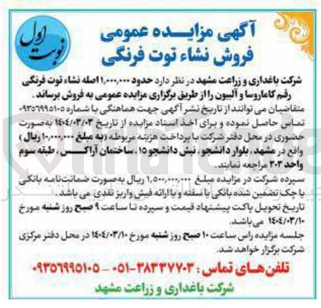 تصویر کوچک آگهی فروش  حدود ۱,۰۰۰,۰۰۰ اصله نشاء توت فرنگی رقم کاماروسا و آلبیون