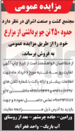 تصویر کوچک آگهی حدود ۲۵۰ تن جو برداشتی از مزارع