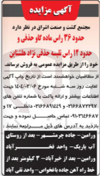 تصویر کوچک آگهی حدود ۳۶ راس ماده گاو حذفی و حدود ۱۲ راس تلیسه حذفی نژاد هلشتاین 
