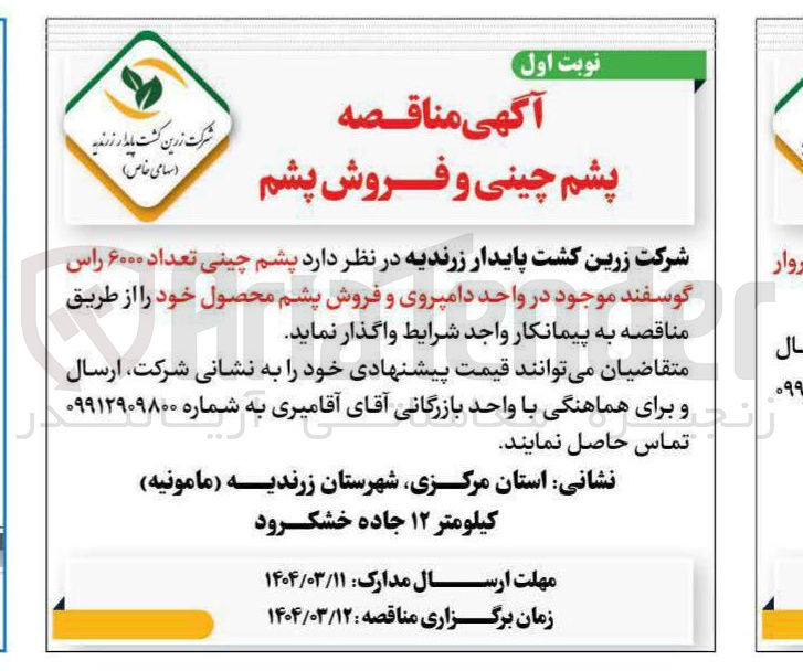 تصویر کوچک آگهی پشم چینی تعداد ۶۰۰۰ راس گوسفند موجود در واحد دامپروی و فروش پشم محصول خود 