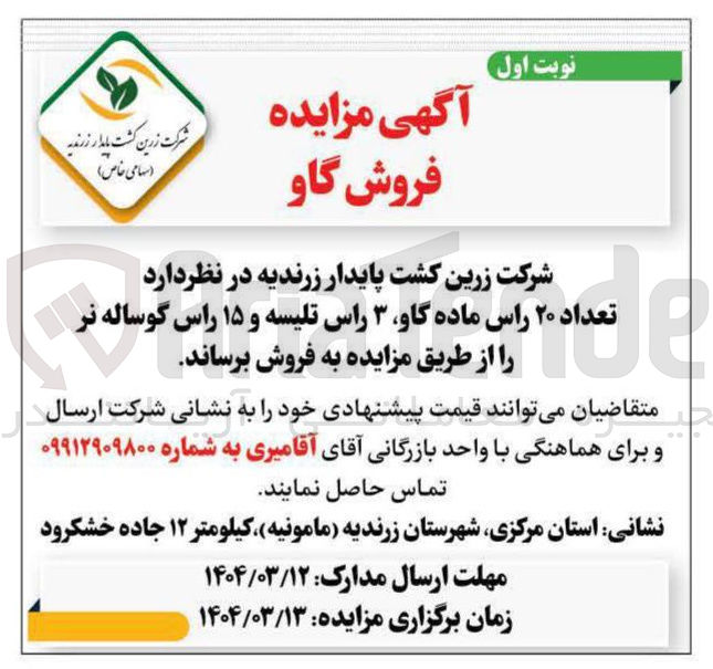 تصویر کوچک آگهی تعداد ۲۰ راس ماده گاو ۳ راس تلیسه و ۱۵ راس گوساله  نر