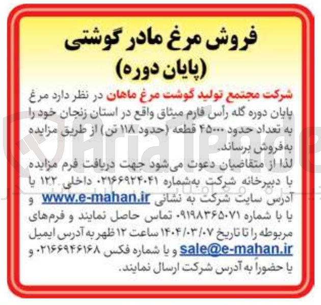 تصویر کوچک آگهی فروش  مرغ پایان دوره گله رأس فارم میثاق به تعداد حدود ۴۵۰۰۰ قطعه حدود ۱۱۸ تن 