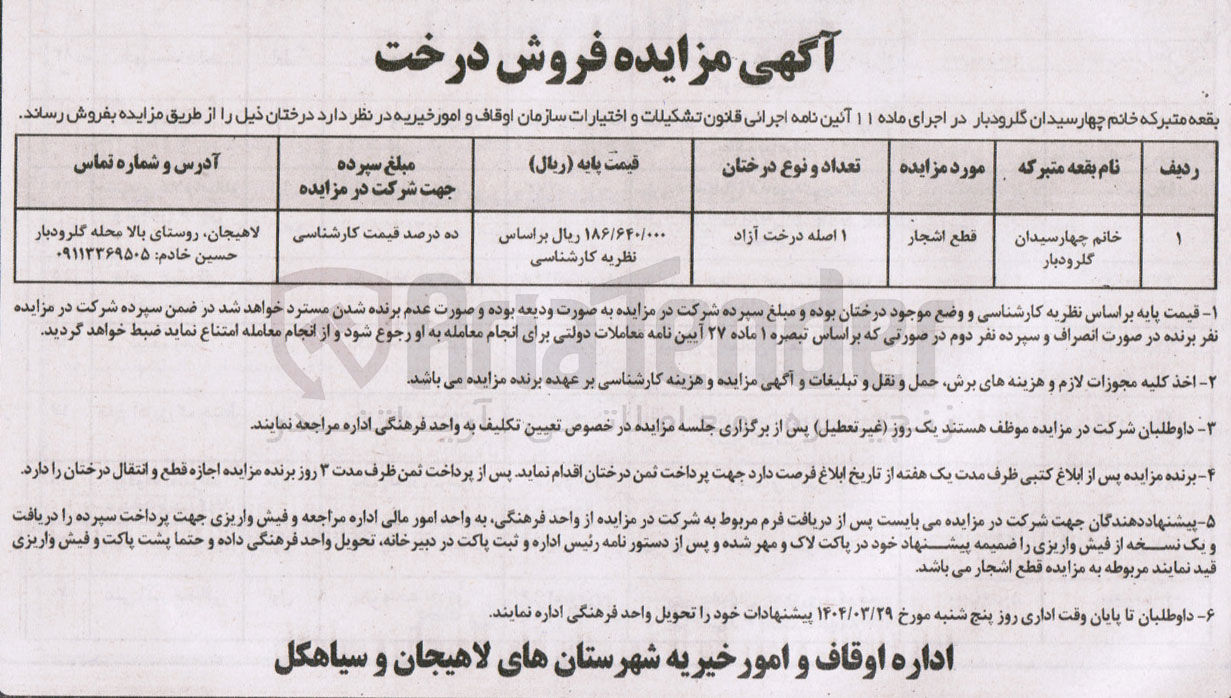 تصویر کوچک آگهی فروش 1 اصله درخت آزاد
