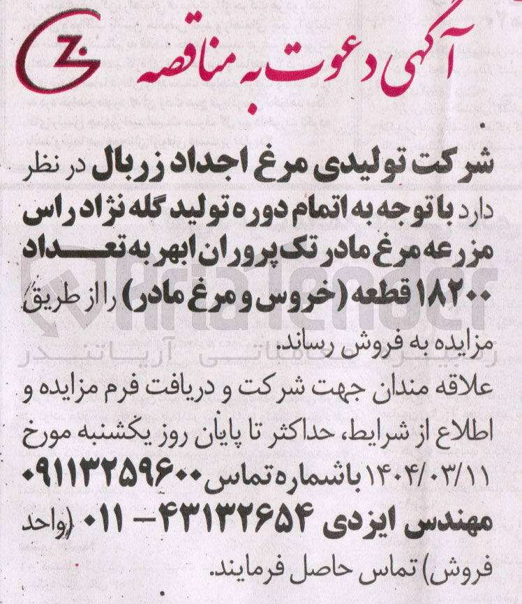 تصویر کوچک آگهی فروش مرغ مادر تک پروران ابهر به تعداد ۱۸۲۰۰ قطعه خروس و مرغ مادر
