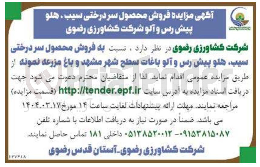 تصویر کوچک آگهی  فروش محصول سر درختی سیب ، هلو پیش رس و آلو 