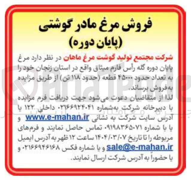 تصویر کوچک آگهی مرغ پایان دوره 