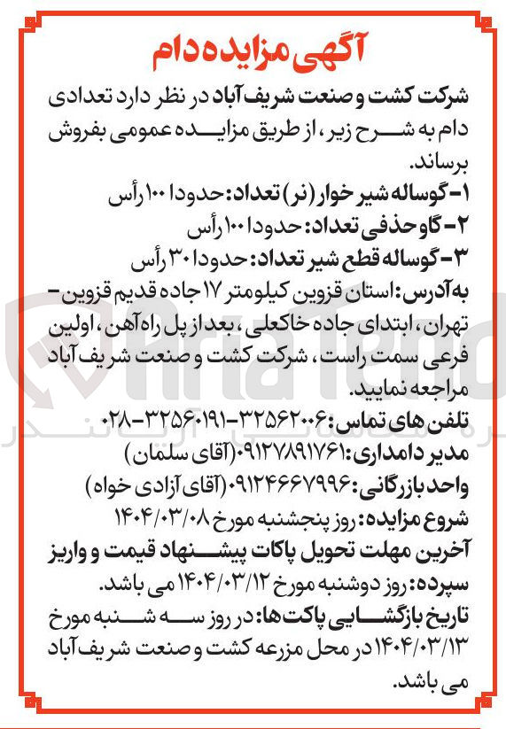 تصویر کوچک آگهی فروش تعدادی دام : گوساله شیر خوار ( نر ) تعداد : حدودا ۱۰۰ رأس - گاو حذفی تعداد : حدودا ۱۰۰ رأس - گوساله قطع شیر تعداد : حدودا ۳۰ رأس 