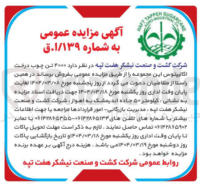 تصویر کوچک آگهی فروش  ۴۰۰۰ تن چوب درخت اکالیپتوس