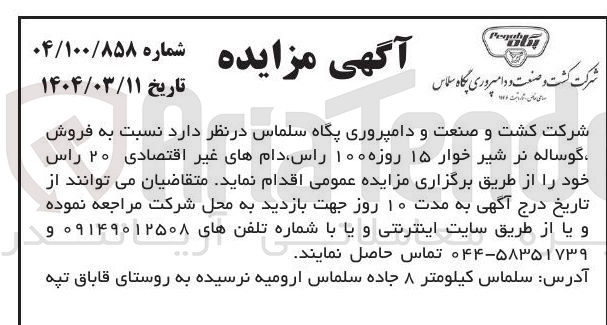 تصویر کوچک آگهی  فروش گوساله نر شیر خوار ۱۵ روزه ۱۰۰ راس دامهای غیر اقتصادی ۲۰ راس