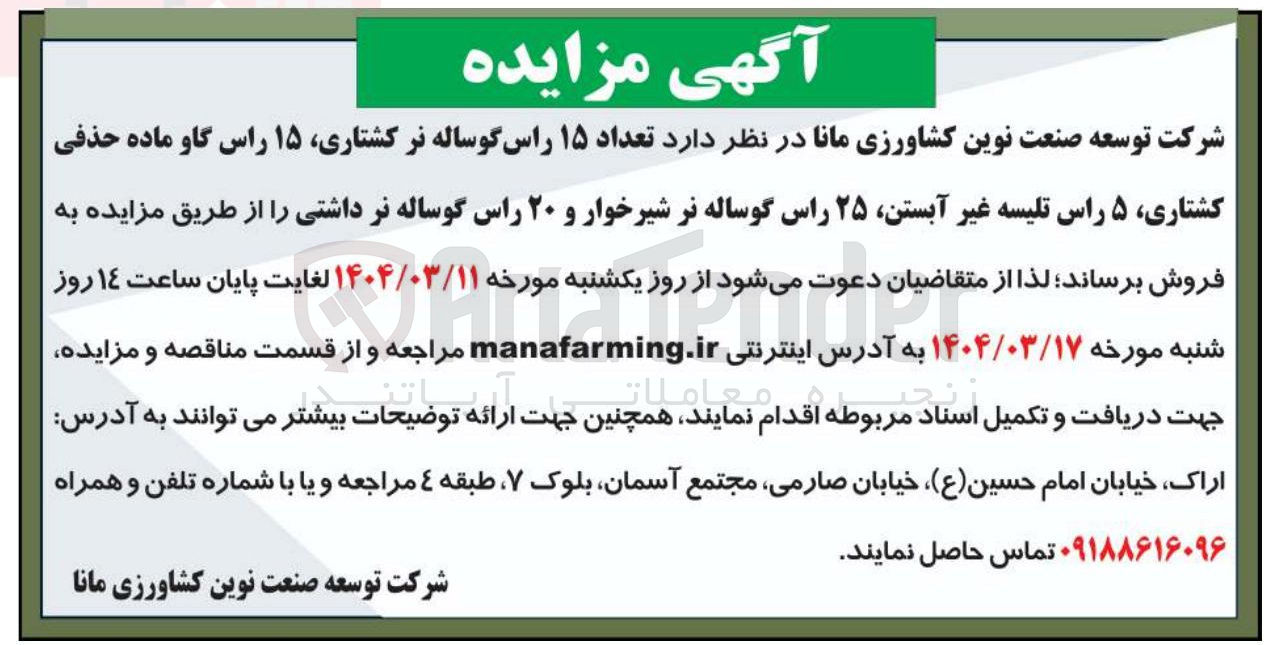 تصویر کوچک آگهی فروش  تعداد ۱۵ راس گوساله نر ، کشتاری ۱۵ راس گاو ماده حذفی کشتاری ۵ راس تلیسه غیر آبستن ۲۵ راس گوساله نر شیرخوار و ۲۰ راس گوساله نر داشتی 
