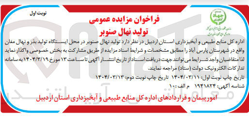 تصویر کوچک آگهی تولید نهال صنوبر 
