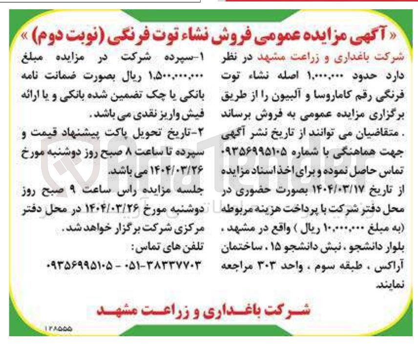 تصویر کوچک آگهی فروش حدود ۱,۰۰۰,۰۰۰ اصله نشاء توت فرنگی رقم کاماروسا و آلبیون