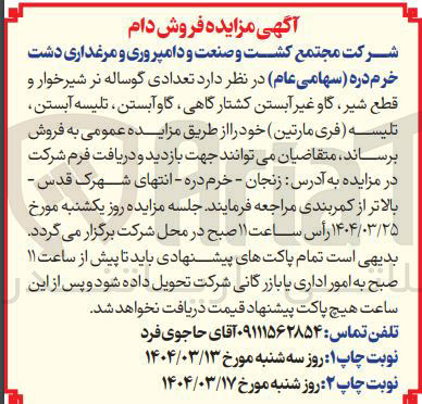 تصویر کوچک آگهی فروش  تعدادی گوساله نر شیرخوار و قطع شیر گاو غیر آبستن کشتارگاهی گاو آبستن تلیسه آبستن تلیسه ( فری مارتین)