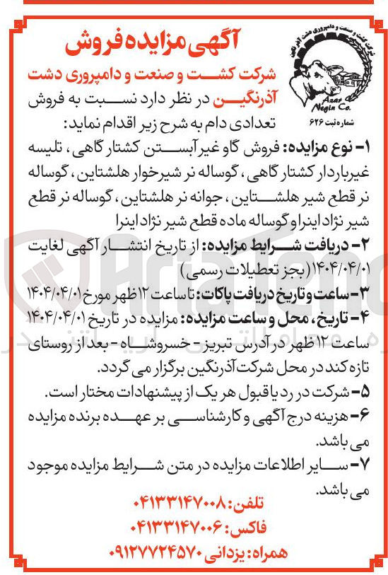 تصویر کوچک آگهی فروش گاو غیر آبستن کشتارگاهی تلیسه غیر باردار کشتار گاهی گوساله نر شیرخوار هلشتاین ، گوساله نر قطع شیر هلشتاین جوانه نر هلشتاین ، گوساله نر قطع شیر نژاد اینرا و گوساله ماده قطع شیر نژاد اینرا 
