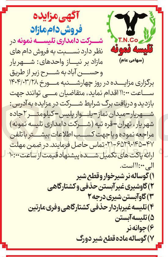 تصویر کوچک آگهی  فروش دام : گوساله نر شیرخوار و قطع شیر - گاوشیری غیر آبستن حذفی و کشتارگاهی - گاو آبستن شیری درجه ۲ - تلیسه غیر باردار حذفی کشتارگاهی و فری مارتین - تلیسه آبستن - جوانه نر - گوساله ماده قطع شیر دورگ