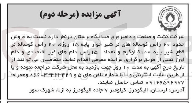 تصویر کوچک آگهی  فروش حدود ۶۰ راس گوساله های نر شیر خوار پایه ۱۵ روزه ۲۰ راس گوساله نر قطع شیر پایه ۱۰۰ کیلوگرم و تعداد ۱۵ راس دامهای غیر اقتصادی و دام اورژانسی 