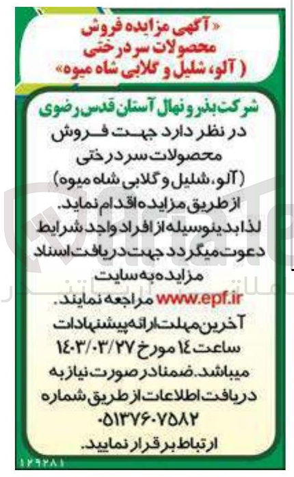 تصویر کوچک آگهی فروش محصولات سردرختی آلو شلیل و گلابی شاه میوه 
