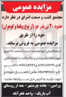 تصویر کوچک آگهی حدود ۳۰ تن بذر جو 