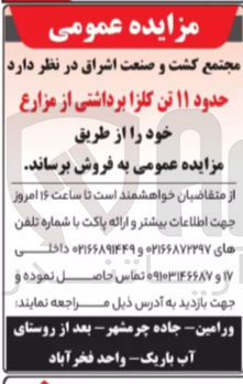 تصویر کوچک آگهی حدود ۱۱ تن کلزا برداشتی از مزارع