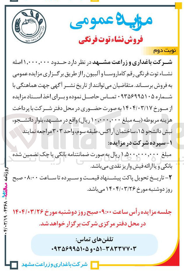 تصویر کوچک آگهی  حدود ۱,۰۰۰,۰۰۰ اصله نشاء توت فرنگی رقم کاماروسا و آلبیون 
